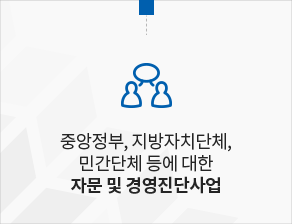 중앙정부, 지방자치단체, 민간단체 등에 대한 자문 및 경영진단사업